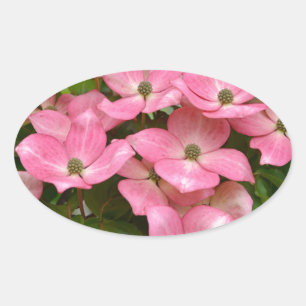 Pink kousa dogwood flowers print oval sticker