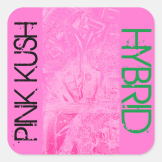 PINK KUSH HYBRID SQUARE STICKER