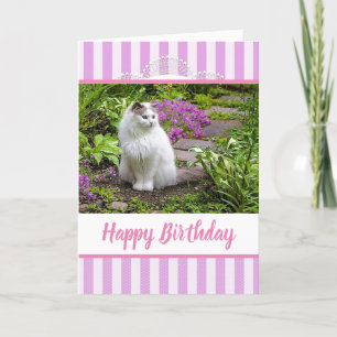 Pink Lace Birthday Card with White Cat Photograph