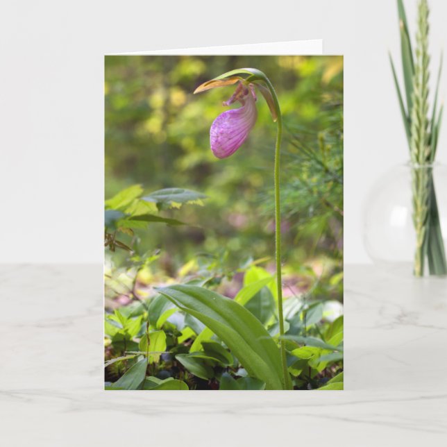 Pink Lady Slipper Blank Note Card (Front)