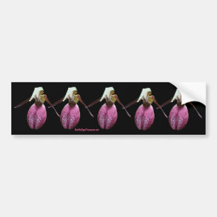 Pink Lady Slipper Flower Photo Bumper Sticker