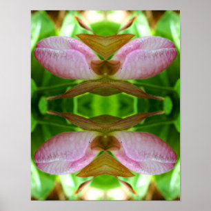 Pink Lady Slipper Orchid Flower Close Abstract Poster
