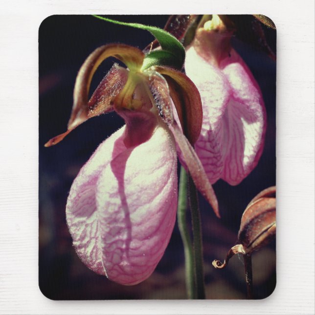 Pink Lady Slipper Orchid Flowers Mouse Mat (Front)