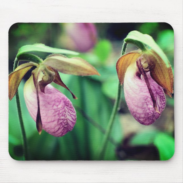 Pink Lady Slipper Orchid Flowers Mouse Mat (Front)
