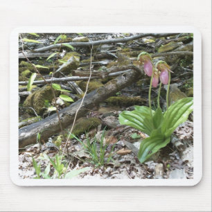 Pink lady slipper orchid mouse mat