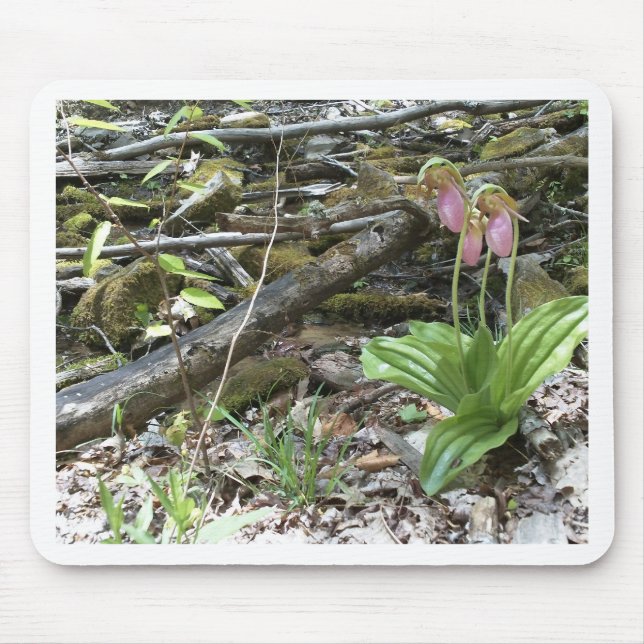 Pink lady slipper orchid mouse mat (Front)
