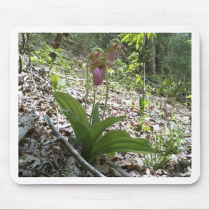 Pink lady slipper Orchid Mouse Mat