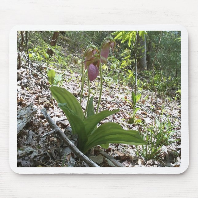 Pink lady slipper Orchid Mouse Mat (Front)