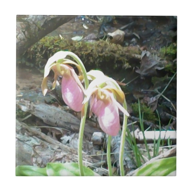 Pink Lady slipper orchid Tile (Front)