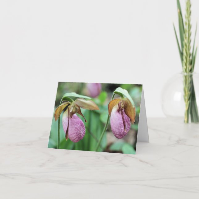 Pink Lady Slipper Orchids Flower Photography  Note Card (Front)