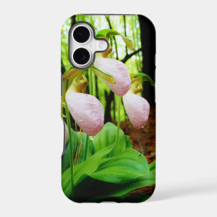 Pink Lady Slipper wild Orchid