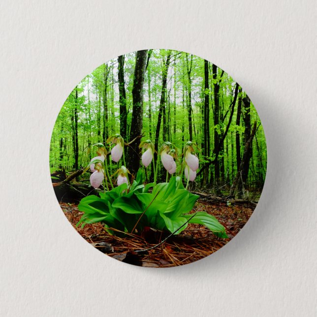 Pink Lady Slipper wild Orchid 6 Cm Round Badge (Front)