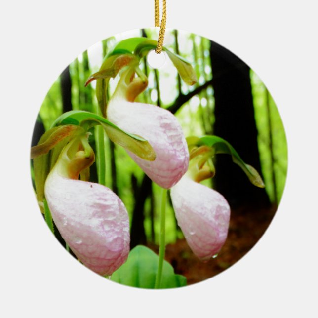 Pink Lady Slipper wild Orchid Ceramic Tree Decoration (Front)