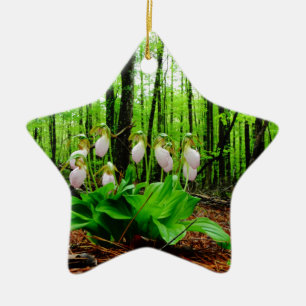Pink Lady Slipper wild Orchid Ceramic Tree Decoration