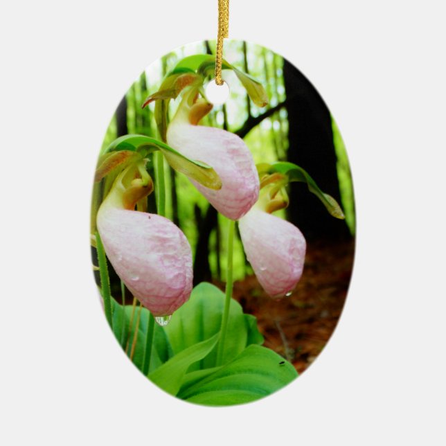 Pink Lady Slipper wild Orchid Ceramic Tree Decoration (Front)