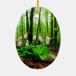 Pink Lady Slipper wild Orchid Ceramic Tree Decoration