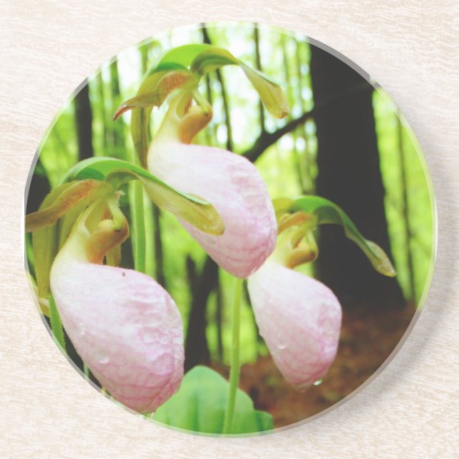 Pink Lady Slipper wild Orchid Coaster (Front)