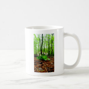 Pink Lady Slipper wild Orchid Coffee Mug