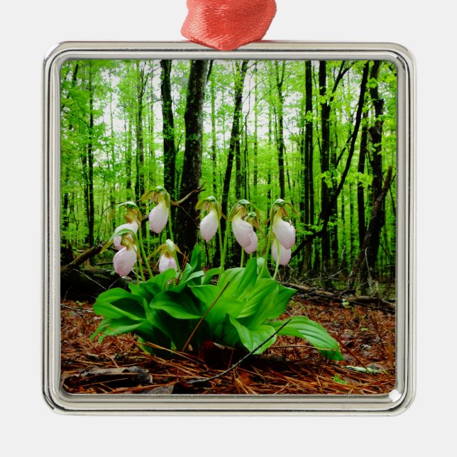 Pink Lady Slipper wild Orchid Metal Tree Decoration (Front)