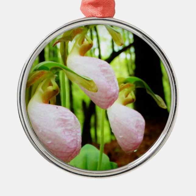 Pink Lady Slipper wild Orchid Metal Tree Decoration (Front)