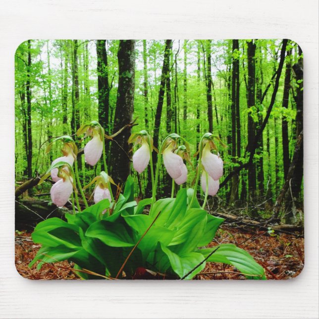 Pink Lady Slipper wild Orchid Mouse Mat (Front)