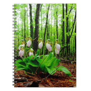 Pink Lady Slipper wild Orchid Notebook