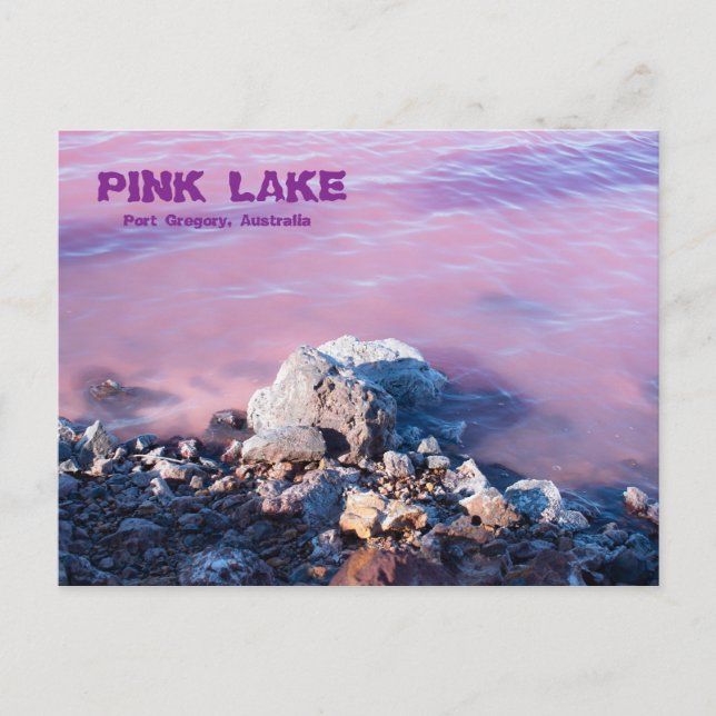 Pink Lake Postcard (Front)