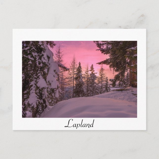 Pink Lapland sunset white text postcard (Front)