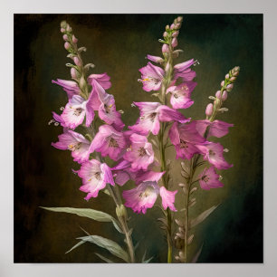 Pink Larkspur Flower Art Print Poster