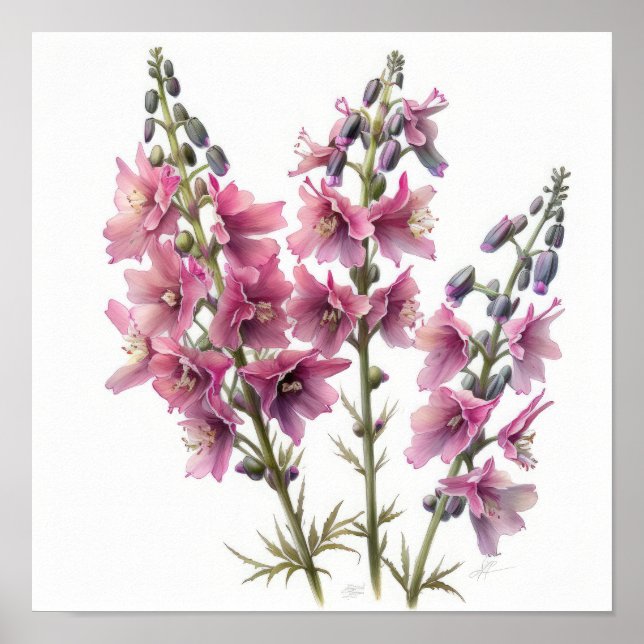 Pink Larkspur Flower Art Print Poster (Front)