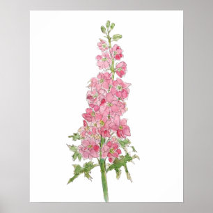 pink larkspur flowers watercolor and ink poster