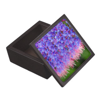 Pink Lashes Premium Gift Box