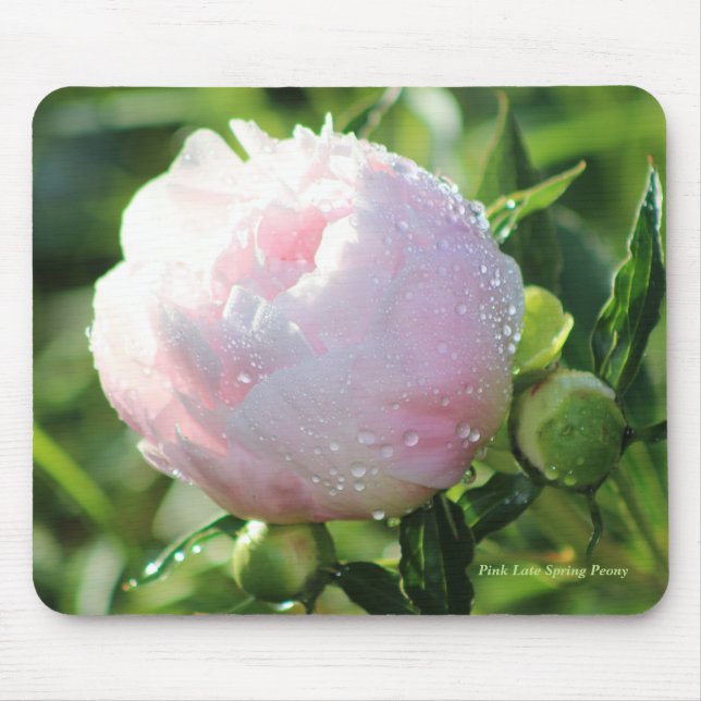 Pink Late Spring Peony Mouse Mat (Front)