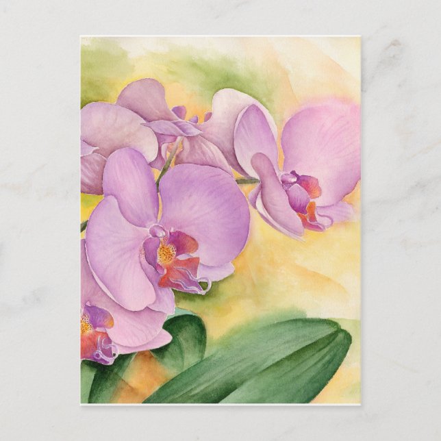 Pink Lavender Phalaenopsis Orchid Flowers Postcard (Front)