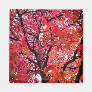 Pink leaves magnet