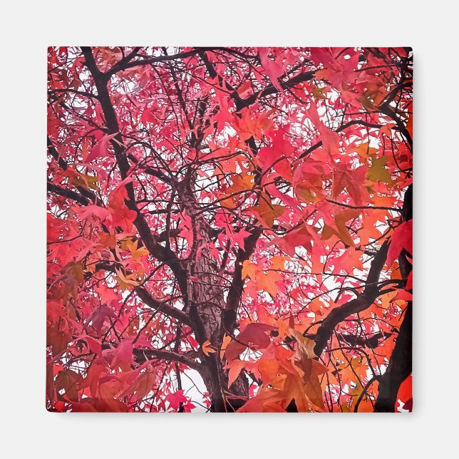 Pink leaves magnet (Front)