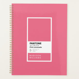 Pink Lemonade Minimalist Colour Palette Swatch  Planner