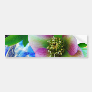 Pink Lenten Rose blue glass ball Bumper Sticker