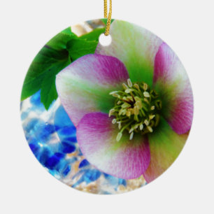 Pink Lenten Rose blue glass ball Ceramic Tree Decoration