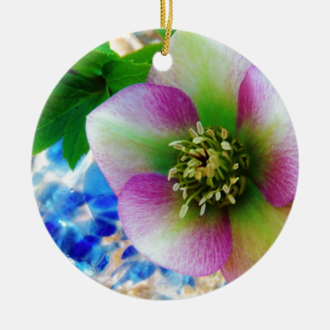 Pink Lenten Rose blue glass ball Ceramic Tree Decoration (Front)