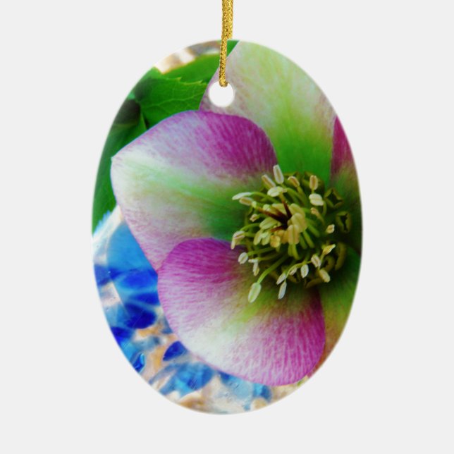 Pink Lenten Rose blue glass ball Ceramic Tree Decoration (Front)