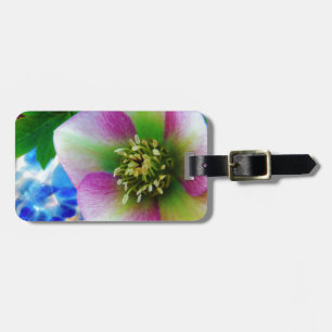 Pink Lenten Rose blue glass ball Luggage Tag