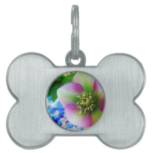 Pink Lenten Rose blue glass ball Pet Name Tag