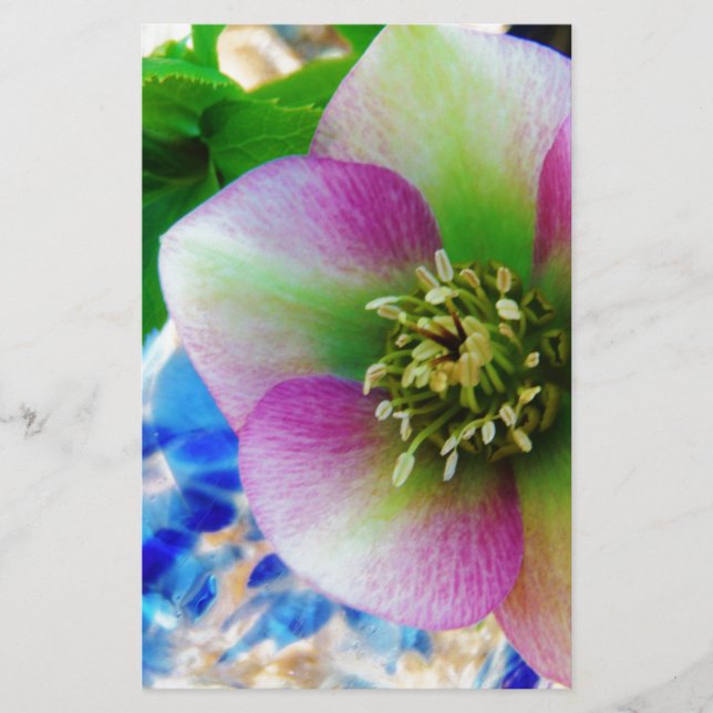 Pink Lenten Rose blue glass ball Stationery (Front)