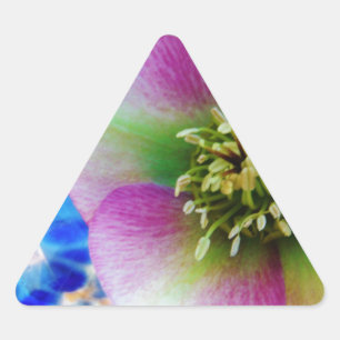 Pink Lenten Rose blue glass ball Triangle Sticker