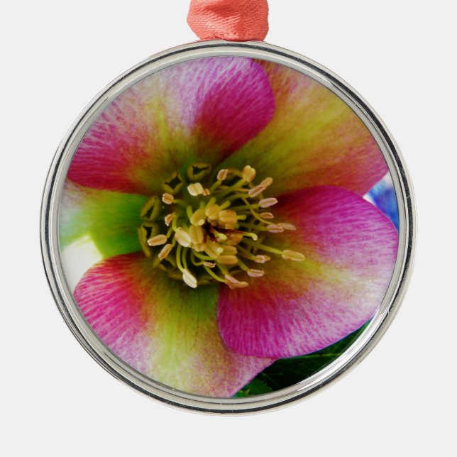 Pink Lenten Rose, Metal Tree Decoration (Front)