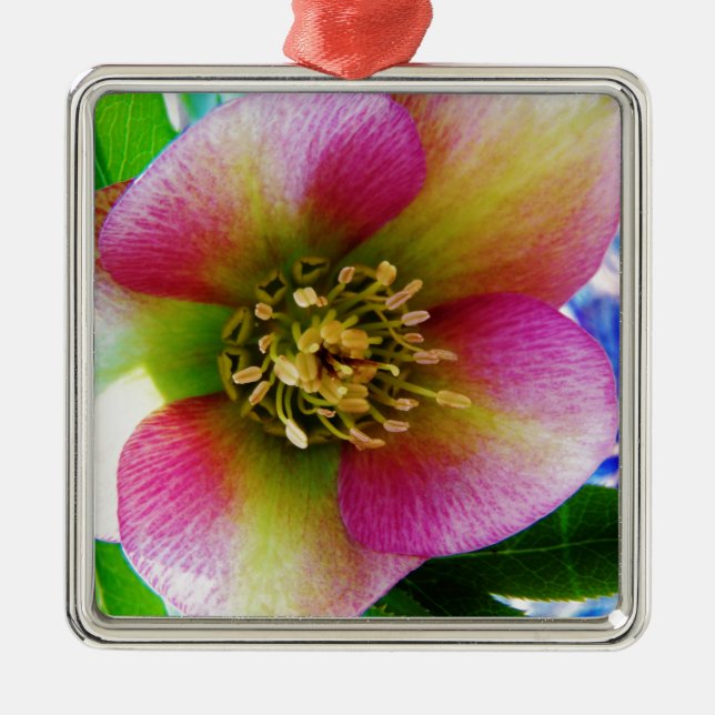 Pink Lenten Rose, Metal Tree Decoration (Front)