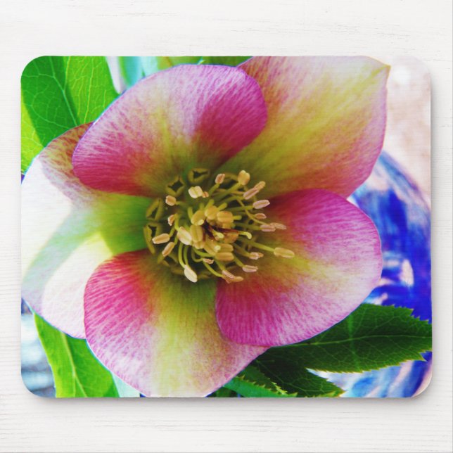 Pink Lenten Rose, Mouse Mat (Front)