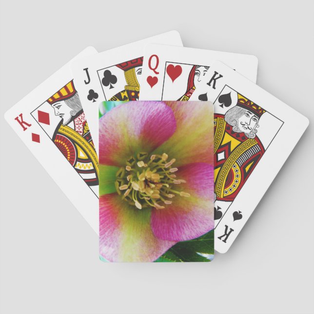 Pink Lenten Rose, Playing Cards (Back)