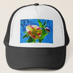 Pink Lenten Rose Trucker Hat
